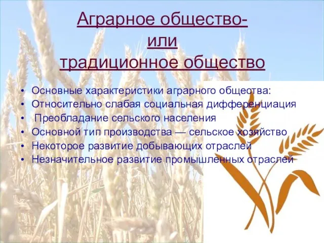 Аграрное общество- или традиционное общество Основные характеристики аграрного общества: Относительно слабая социальная