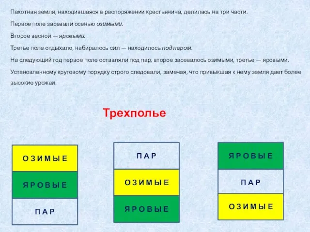 Пахотная земля, находившаяся в распоряжении крестьянина, делилась на три части. Первое поле