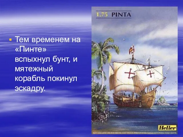 Тем временем на «Пинте» вспыхнул бунт, и мятежный корабль покинул эскадру.