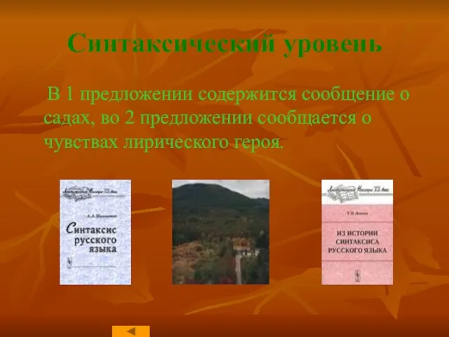 Синтаксический уровень В 1 предложении содержится сообщение о садах, во 2 предложении