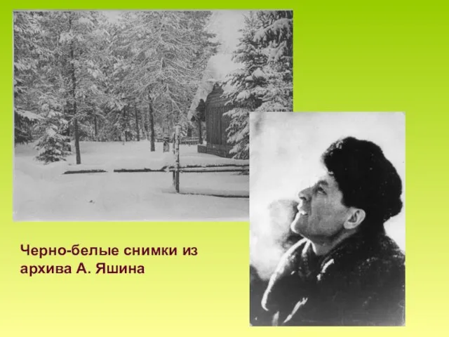 Черно-белые снимки из архива А. Яшина