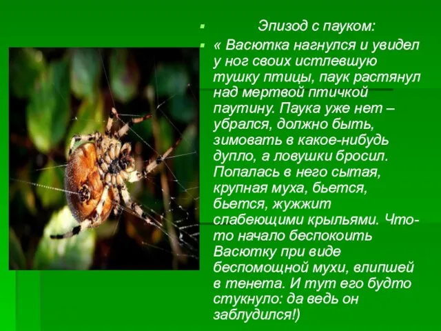 Эпизод с пауком: « Васютка нагнулся и увидел у ног своих истлевшую