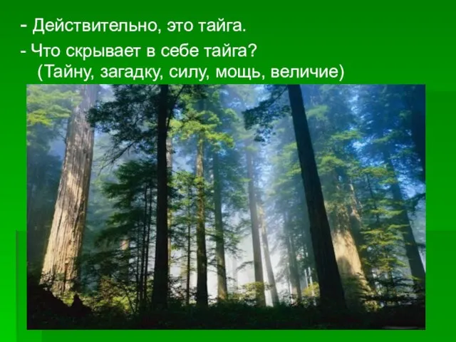 - Действительно, это тайга. - Что скрывает в себе тайга? (Тайну, загадку, силу, мощь, величие)