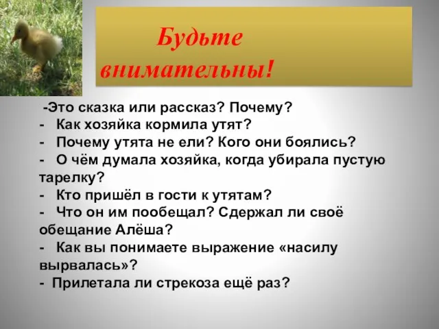 -Это сказка или рассказ? Почему? - Как хозяйка кормила утят? - Почему