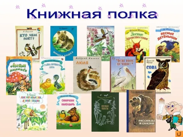 Книжная полка