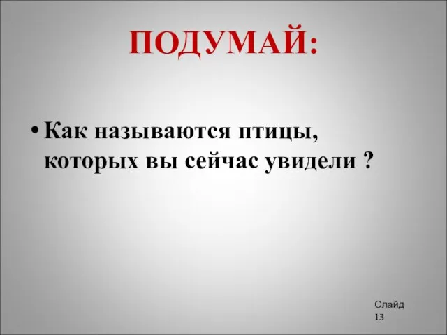 ПОДУМАЙ: Как называются птицы, которых вы сейчас увидели ? Слайд 13