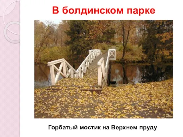 В болдинском парке Горбатый мостик на Верхнем пруду
