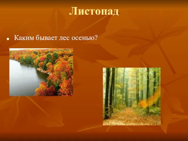 Листопад Каким бывает лес осенью?