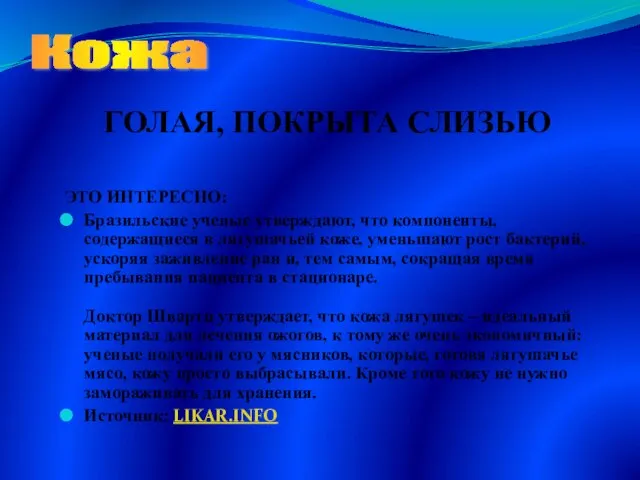 ЭТО ИНТЕРЕСНО: Бразильские ученые утверждают, что компоненты, содержащиеся в лягушачьей коже, уменьшают