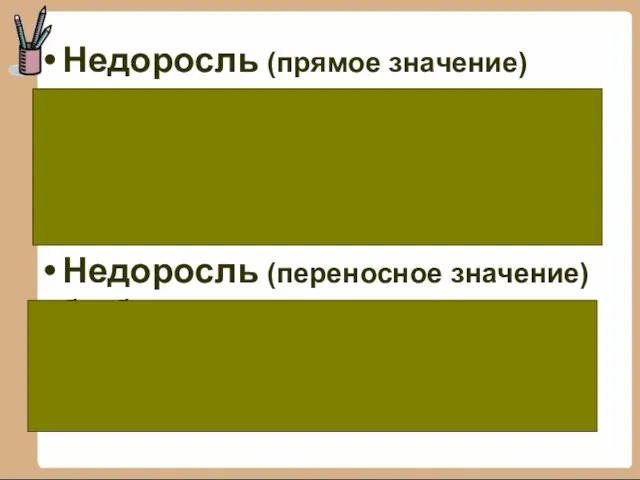 Недоросль (прямое значение) дворянин, не достигший 20 лет, не получивший должного образования,