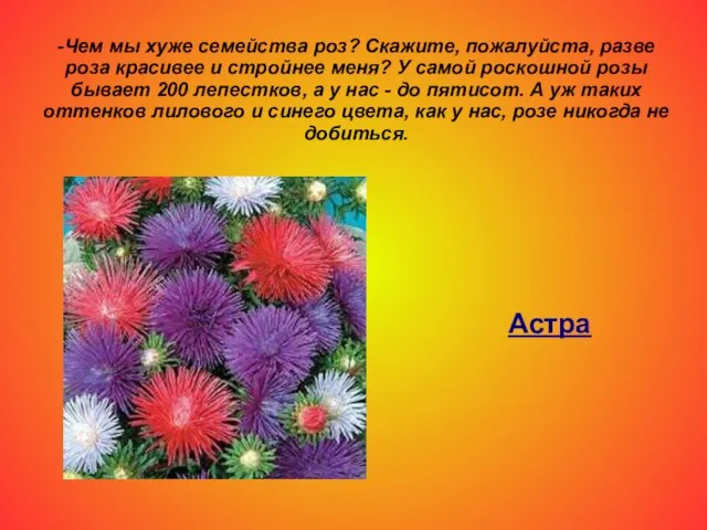 -Чем мы хуже семейства роз? Скажите, пожалуйста, разве роза красивее и стройнее