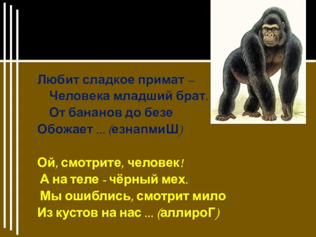 Любит сладкое примат – Человека младший брат. От бананов до безе Обожает