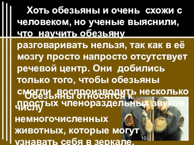 Хоть обезьяны и очень схожи с человеком, но ученые выяснили, что научить