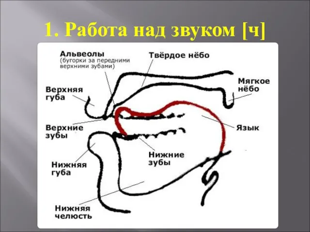 1. Работа над звуком [ч]