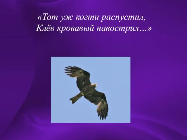 «Тот уж когти распустил, Клёв кровавый навострил…» «Тот уж когти распустил, Клёв кровавый навострил…»