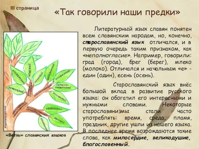 «Так говорили наши предки» III страница Литературный язык славян понятен всем славянским