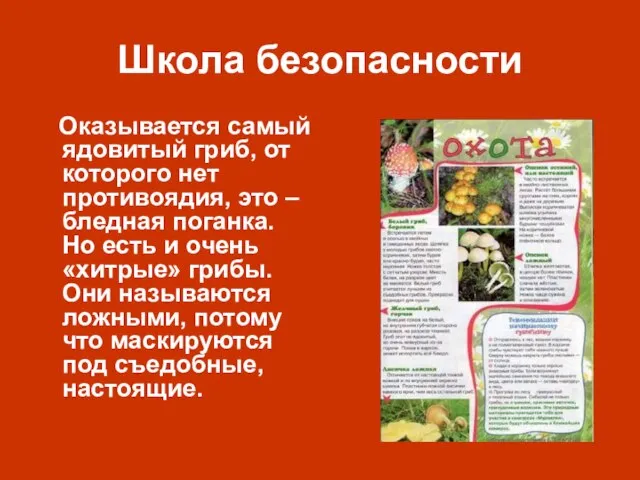 Школа безопасности Оказывается самый ядовитый гриб, от которого нет противоядия, это –