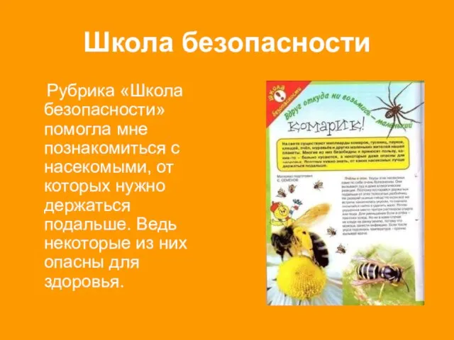 Школа безопасности Рубрика «Школа безопасности» помогла мне познакомиться с насекомыми, от которых