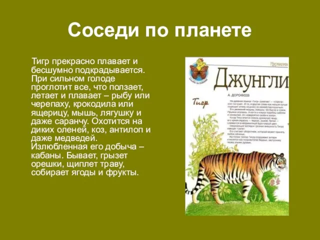 Соседи по планете Тигр прекрасно плавает и бесшумно подкрадывается. При сильном голоде