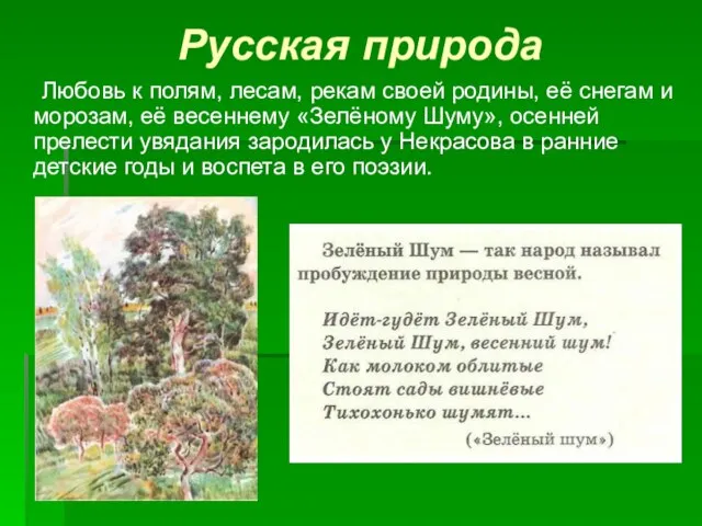 Русская природа Любовь к полям, лесам, рекам своей родины, её снегам и
