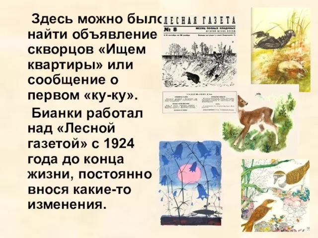 Здесь можно было найти объявление скворцов «Ищем квартиры» или сообщение о первом