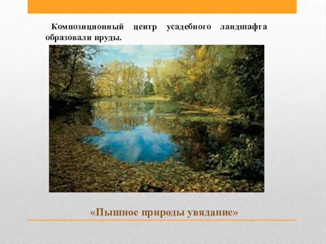 Композиционный центр усадебного ландшафта образовали пруды. «Пышное природы увядание»