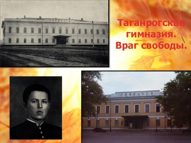 Таганрогская гимназия. Враг свободы.