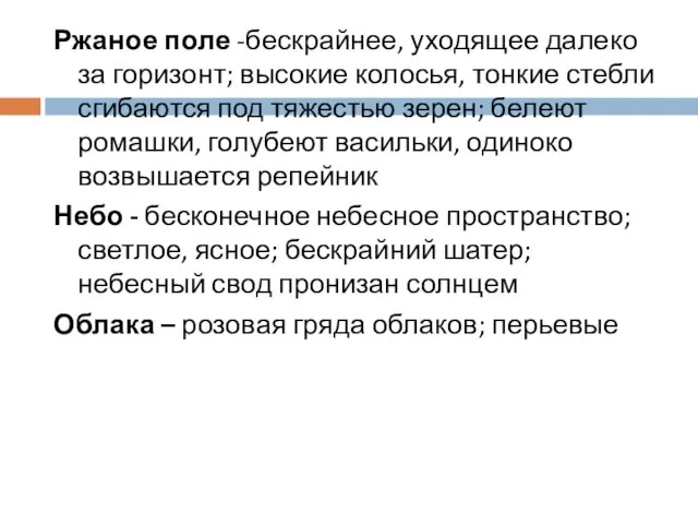 Ржаное поле -бескрайнее, уходящее далеко за горизонт; высокие колосья, тонкие стебли сгибаются