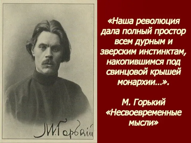 «Наша революция дала полный простор всем дурным и зверским инстинктам, накопившимся под