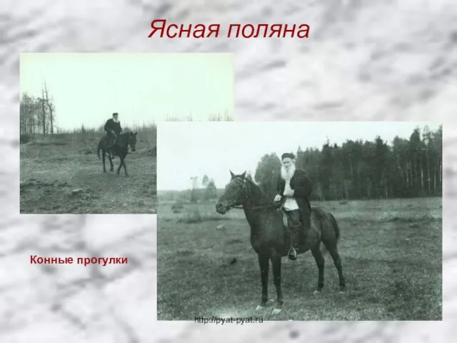Ясная поляна Конные прогулки http://pyat-pyat.ru