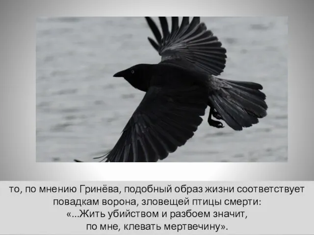 то, по мнению Гринёва, подобный образ жизни соответствует повадкам ворона, зловещей птицы