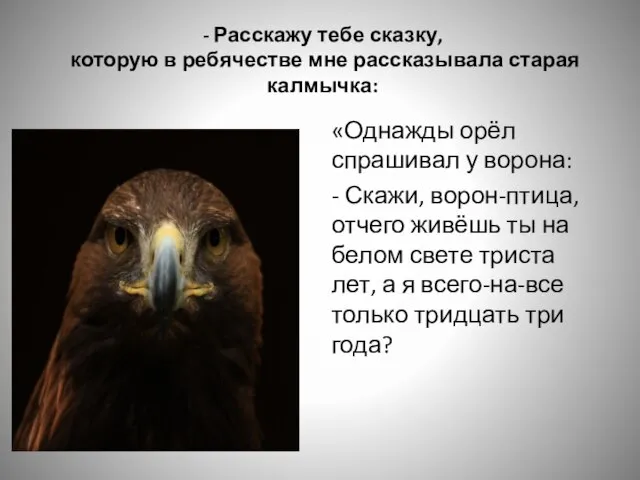 «Однажды орёл спрашивал у ворона: - Скажи, ворон-птица, отчего живёшь ты на