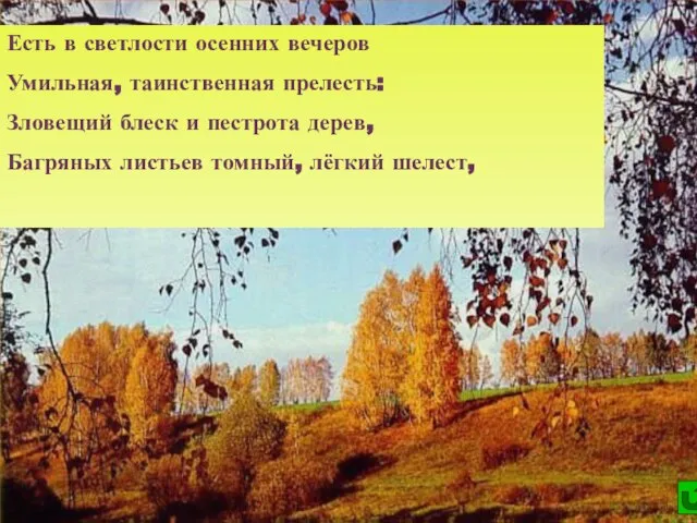 Есть в светлости осенних вечеров Умильная, таинственная прелесть: Зловещий блеск и пестрота