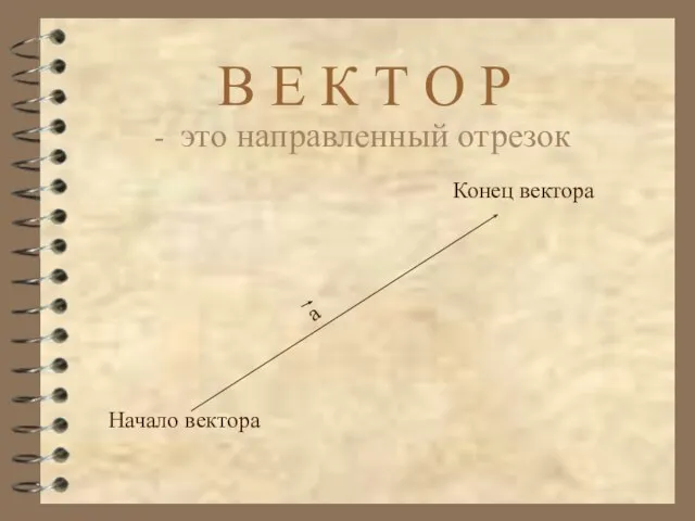 В Е К Т О Р - это направленный отрезок Начало вектора Конец вектора а