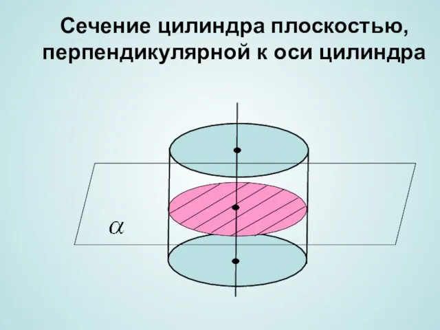 Сечение цилиндра плоскостью, перпендикулярной к оси цилиндра