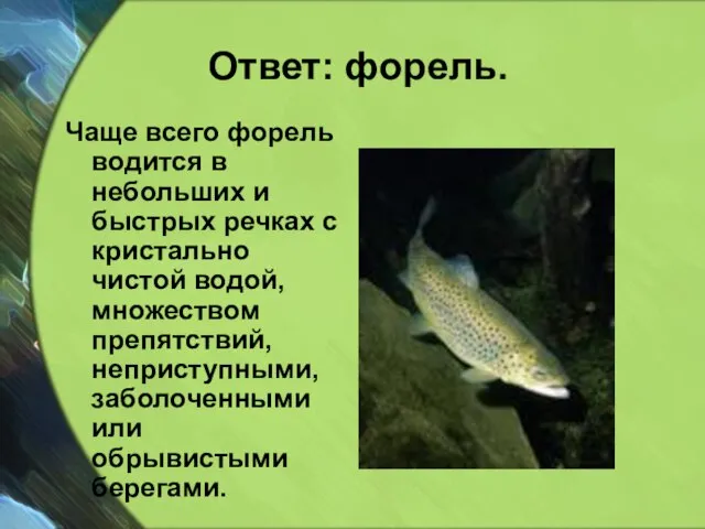 Ответ: форель. Чаще всего форель водится в небольших и быстрых речках с