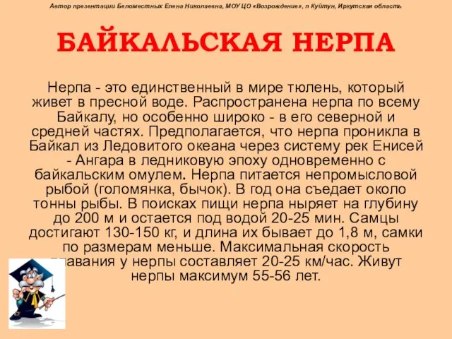 БАЙКАЛЬСКАЯ НЕРПА Нерпа - это единственный в мире тюлень, который живет в