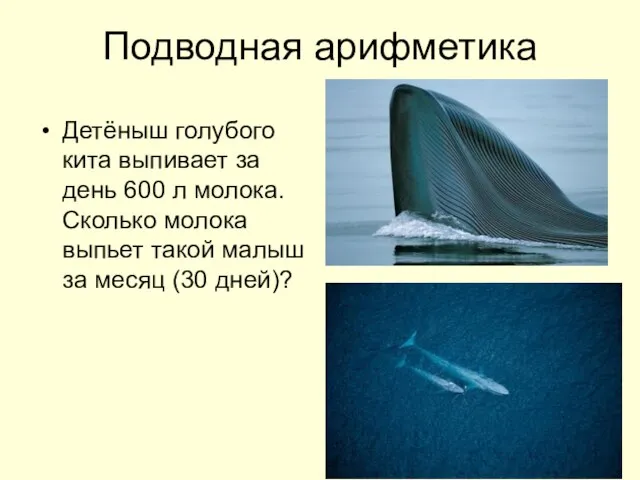 Подводная арифметика Детёныш голубого кита выпивает за день 600 л молока. Сколько