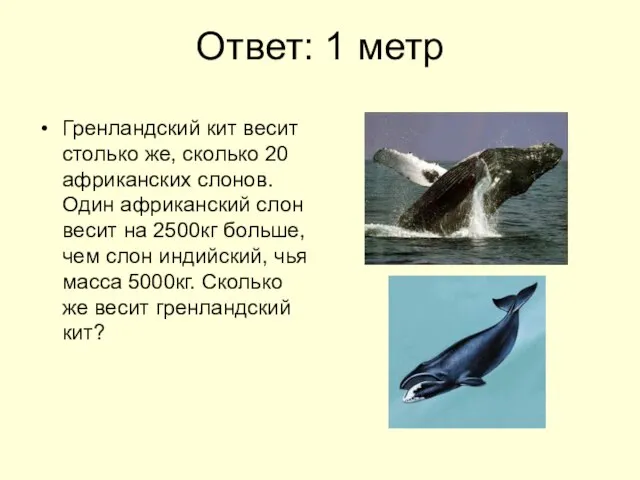 Ответ: 1 метр Гренландский кит весит столько же, сколько 20 африканских слонов.
