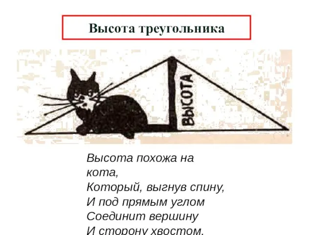 Высота треугольника Высота похожа на кота, Который, выгнув спину, И под прямым