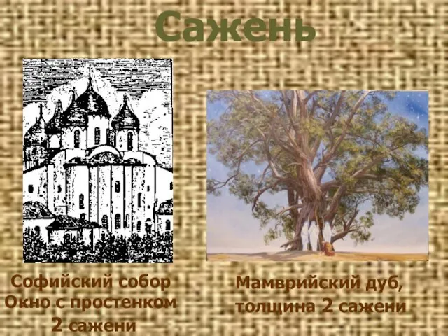 Софийский собор Окно с простенком 2 сажени Сажень Мамврийский дуб, толщина 2 сажени