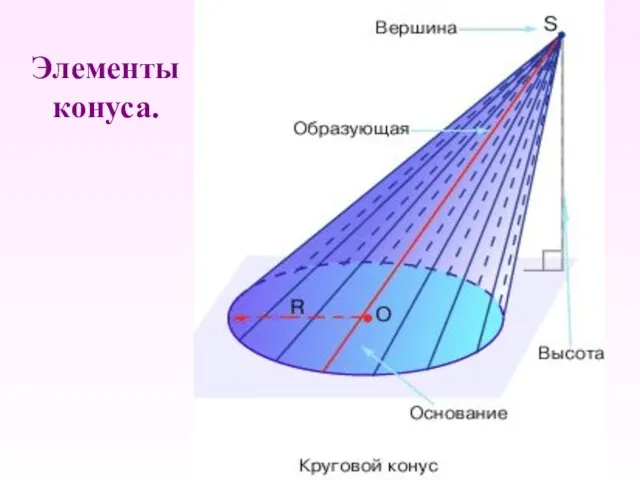 Элементы конуса.