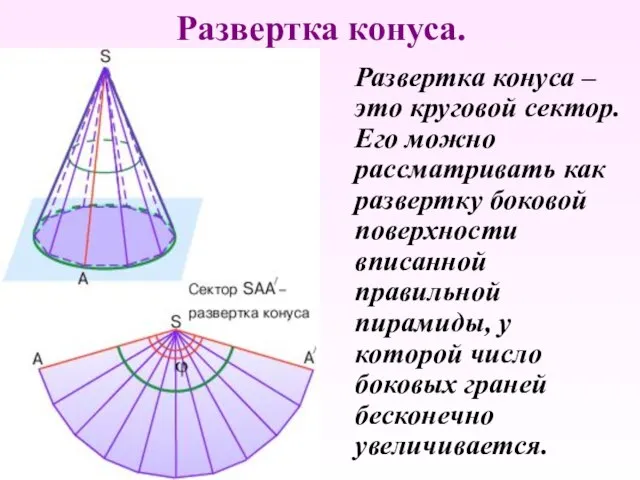 Развертка конуса. Развертка конуса – это круговой сектор. Его можно рассматривать как