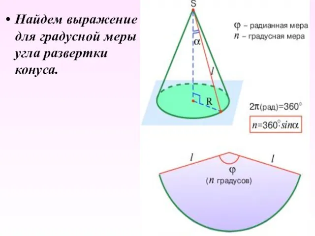 Найдем выражение для градусной меры угла развертки конуса.