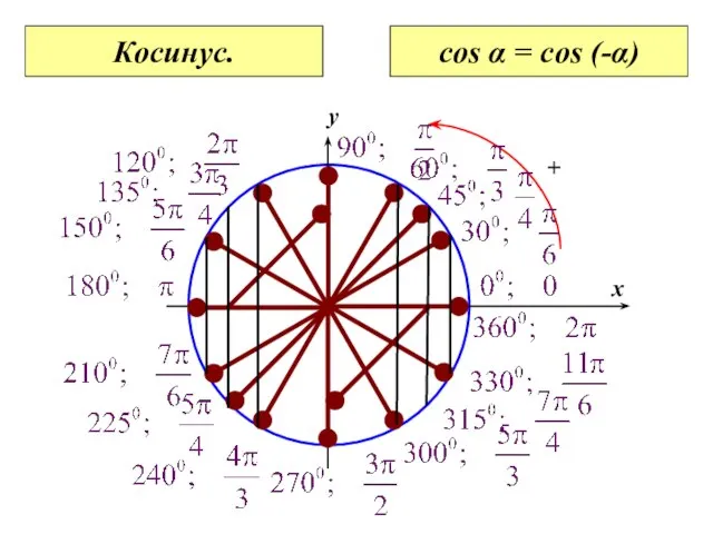 0 x y Косинус. cos α = cos (-α)