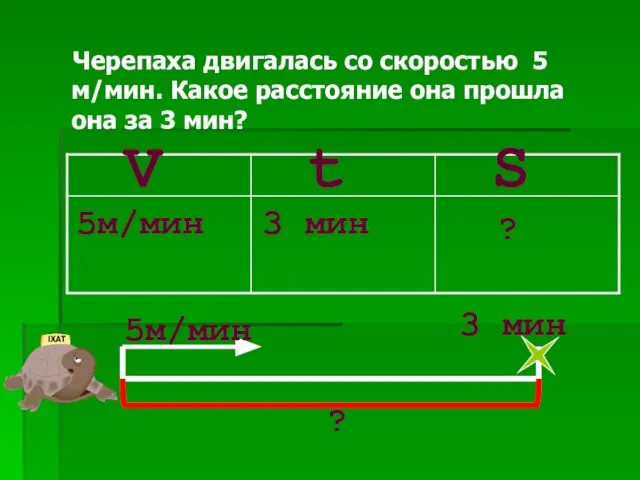 Черепаха двигалась со скоростью 5 м/мин. Какое расстояние она прошла она за