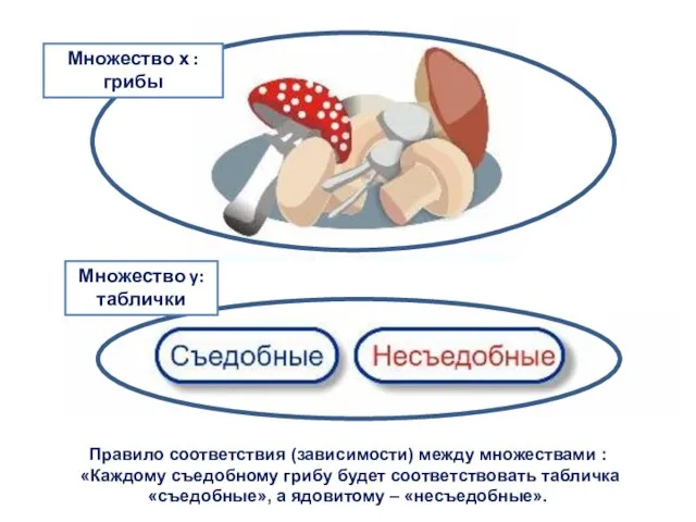 Правило соответствия (зависимости) между множествами : «Каждому съедобному грибу будет соответствовать табличка