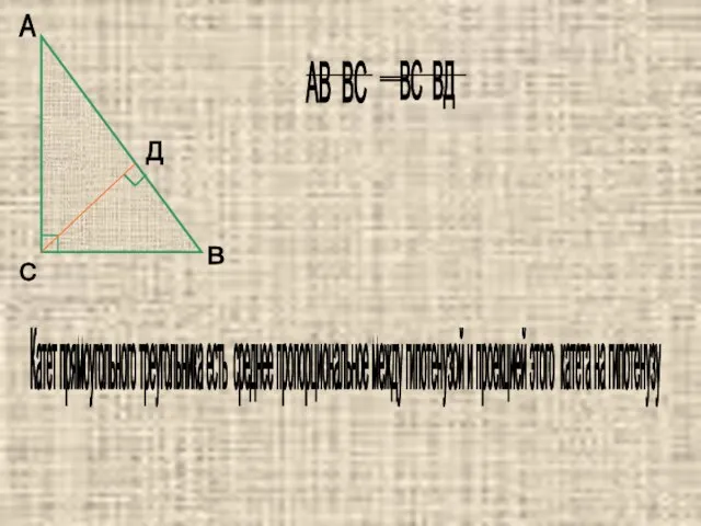 А В С Д Катет прямоугольного треугольника есть среднее пропорциональное между гипотенузой