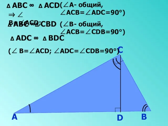 А В С D ∆ АВС ∞ ∆ АСD (∠А- общий, ∠АСВ=∠АDС=90°)