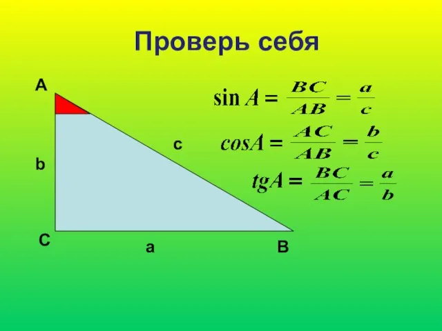 Проверь себя А С В b c a